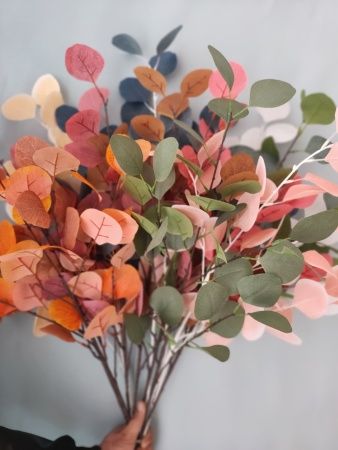 эвкалипт популус бежевый