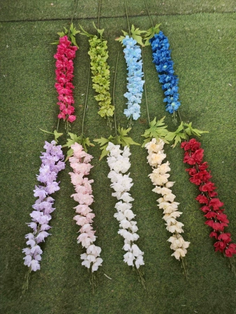 длинный дельфиниум зеленый