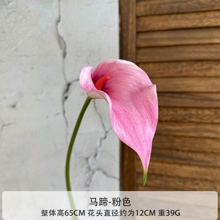 калла EVA розовая