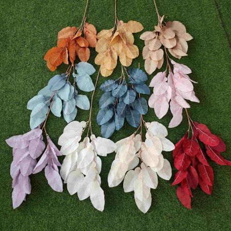 ветка грейпфрута белая