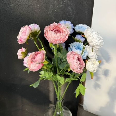 ранункулюс светло-розовый