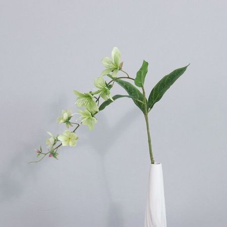 ампельный морозник опт 10 штук  светло-зеленый