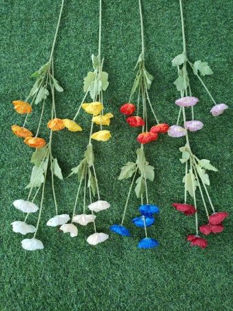 Мак, салатовый