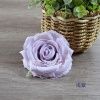 пачка 20 штук роза объемная 12 см светло-фиолетовый