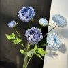 ранункулюс светло-голубой