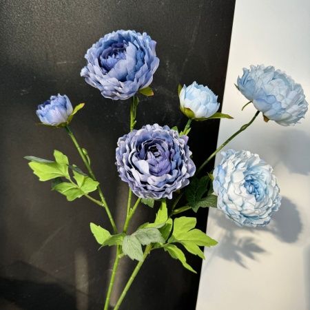 ранункулюс светло-голубой