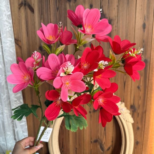 крокус 10 штук фуксия