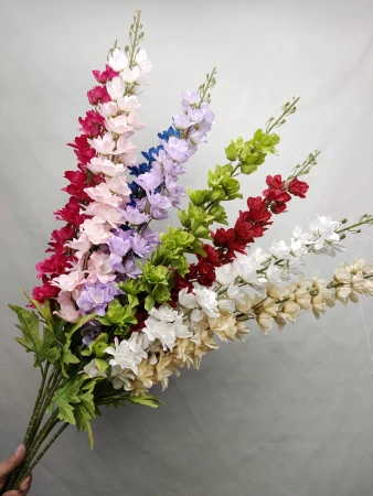 длинный дельфиниум зеленый