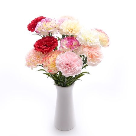 гвоздика светло-розовая