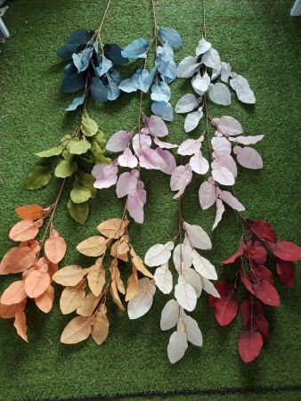 Ветка хосты зеленая