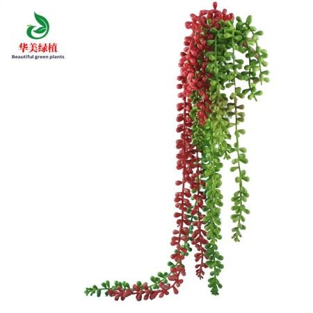 каллизия 5 ветвей красная