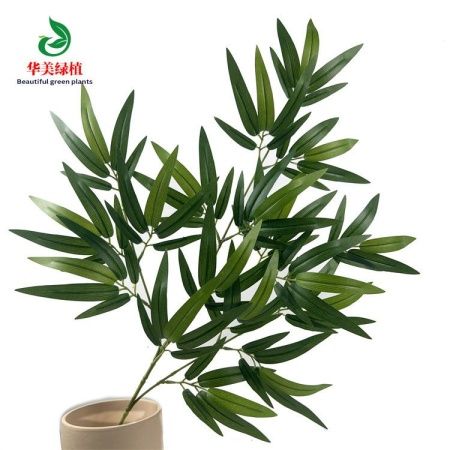 зелень бамбука плотная