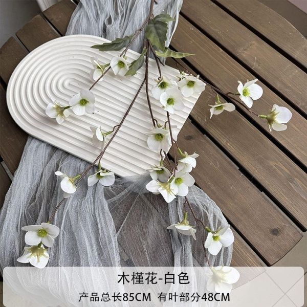 мелкоцвет белый