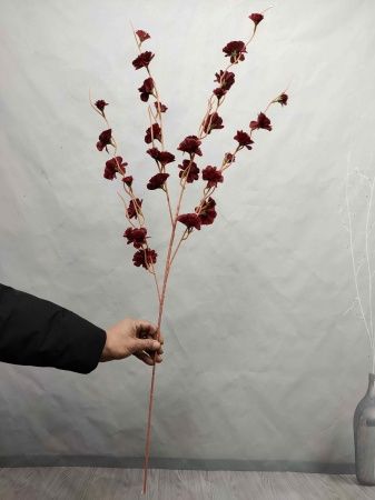 ветка абрикоса голубой ветка абрикоса голубой