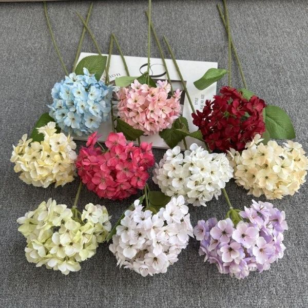 бегония-гортензия черная середина светло-розовая