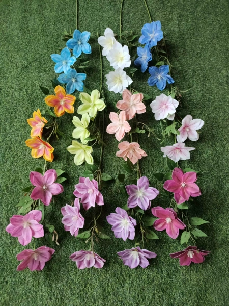 клематис пропилен фиолетовый