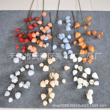 физалис 4 ветки коричневый