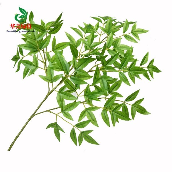 бамбук светло-зеленый