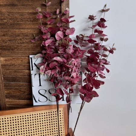 эвкалипт пластик бордовый