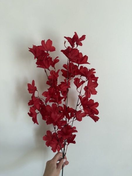 ветка бордовая