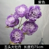 пион 5 голов на ветке фиолетовый
