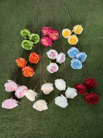 тройной пион бело-розовый