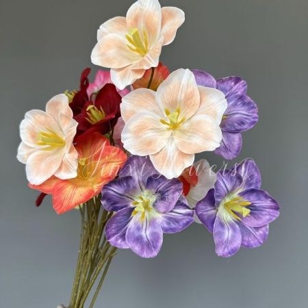 раскрытый тюльпан 3 на ветке персиковый