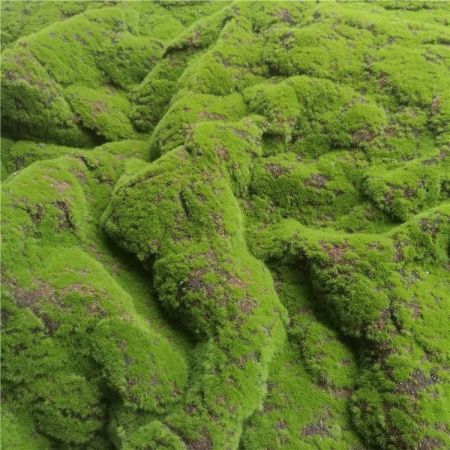 коврик мох камни стиль 2 зеленый