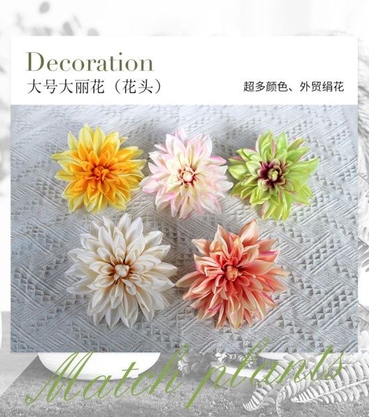 пачка 20 штук георгин 17 см  желто-оранжевые