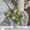 зеленый фрукт 2 шт зеленый