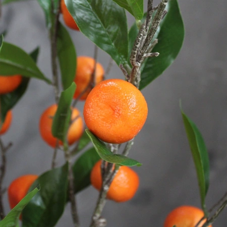 ветка апельсина опт 10 штук
