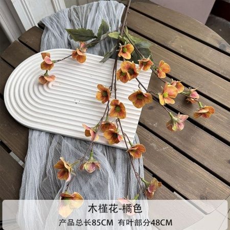 мелкоцвет оранжевый