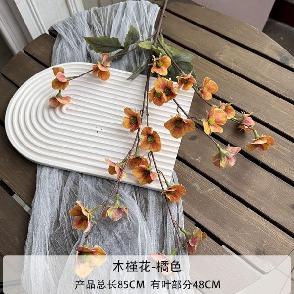 мелкоцвет оранжевый