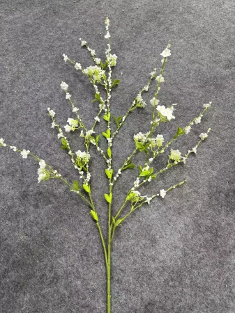 снежная ива белая