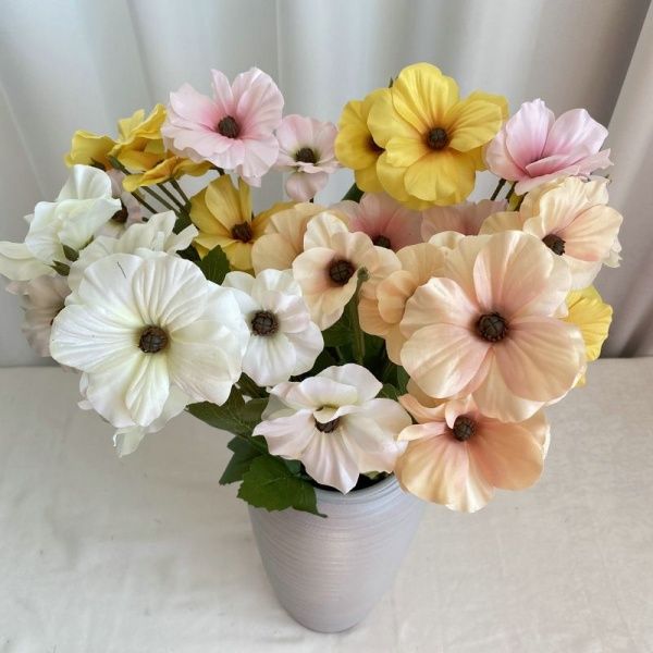 бегония темно-синяя