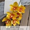 орхидея цимбидиум опт 5 штук желтая
