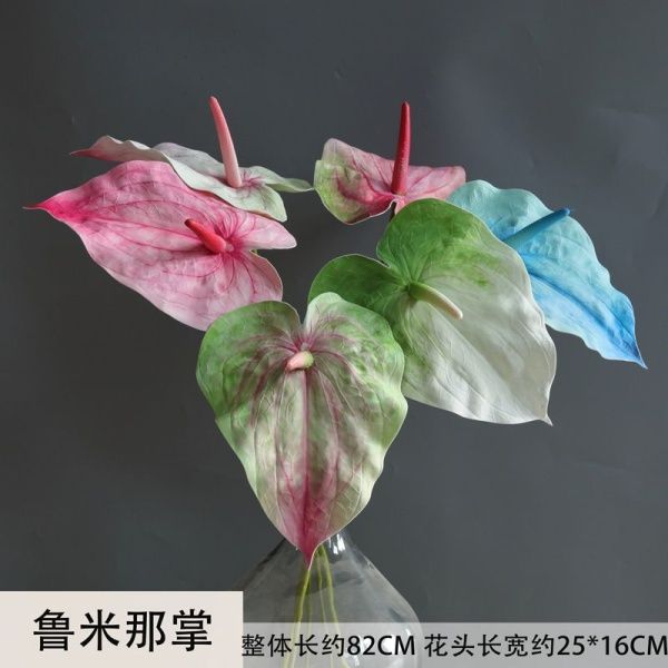 пальмовый антуриум ярко розово-зеленый