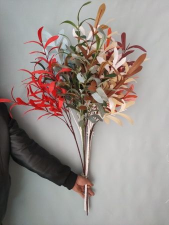 зелень оливы  айвори