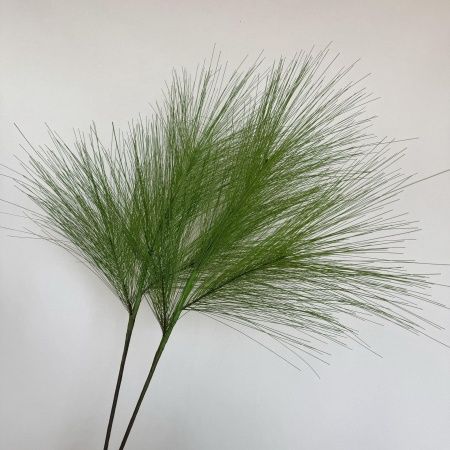 две ветки сосны гигант зеленая