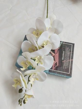 орхидея прорезиненная бело-лимонная