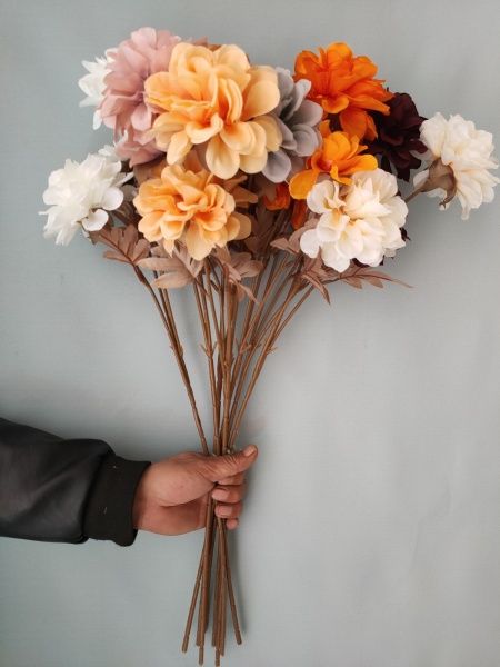 георгин розовый