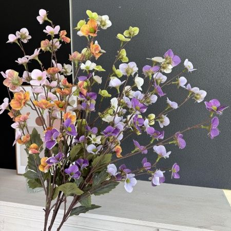 мелкоцвет фиолетовый